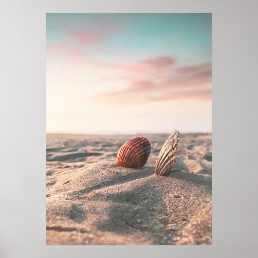 Beach Sunset Zee Shell Beach Photography Poster (Voorkant)