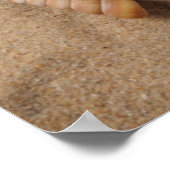 Beach Toys Poster (Hoek)