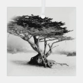 BEACH TREE Glass Ornament (Achterkant)