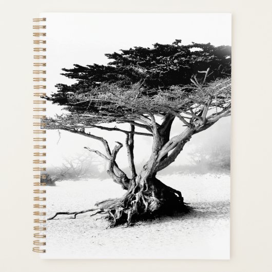 BEACH TREE Planner (Voorkant)