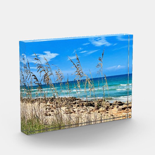 Beach Tropical Ocean blocs photo (Gauche)