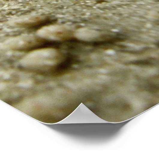 Beach Vision Print (Hoek)