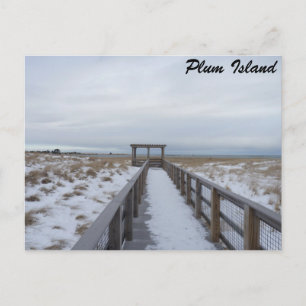 Beach Walkway Briefkaart
