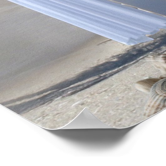 Beach Weddenschap Poster (Hoek)