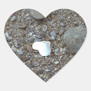 Beach Wedding Seashell Heart Wedding Hearts Hearts Hart Sticker