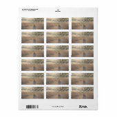 Beach Wedding, Sunset Seashell String Lights Label (Full Sheet)