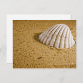 Beach Wedding Tropical RSVP Invitation Uitnodiging Briefkaart (Voorkant / Achterkant)