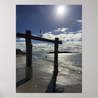 Beach Western Australië Poster