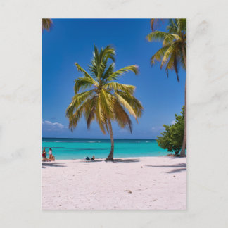 Beach, White Sand, Palm Trees Summer Vacation Briefkaart