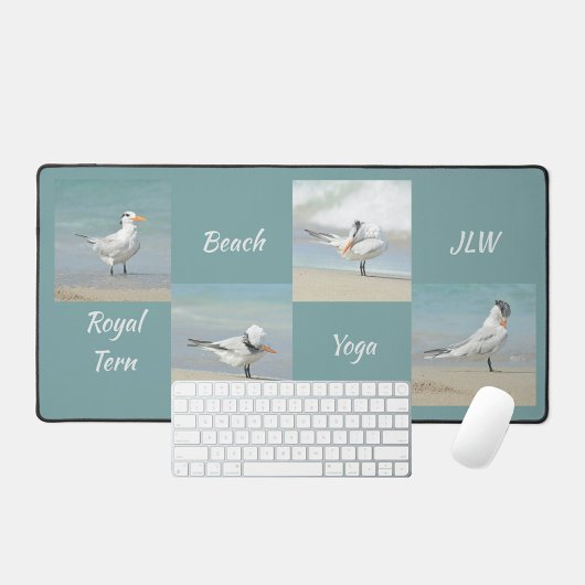 Beach Yoga Seabirds Terns Photographie