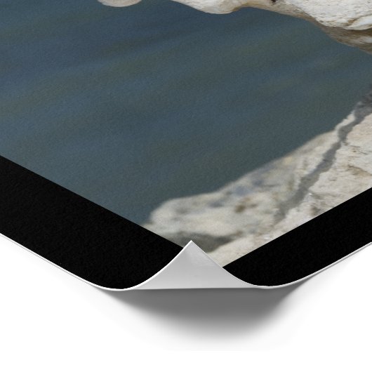 Beach Zee Shell Inspirerend Poster (Hoek)