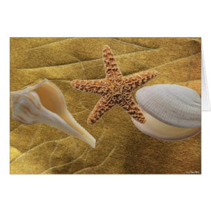 Beach - Zee Shell - Kaart