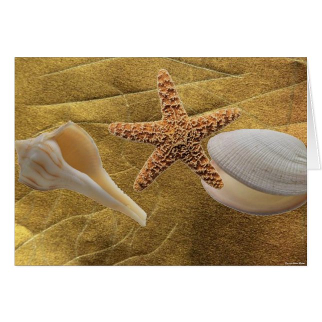 Beach - Zee Shell - Kaart (Voorkant Horizontaal)