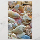 Beachcombers Seashell 5x8 Programme de mariage per (Dos)