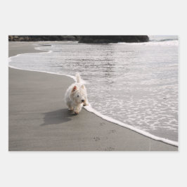 Beachcombi-papier met wieldoekfoto's inpakpapier vel