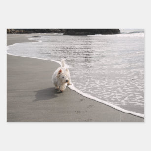 Beachcombi-papier met wieldoekfoto's inpakpapier vel