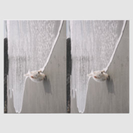 Beachcombi-Weefselpapier voor foto's met witte tin Tissuepapier