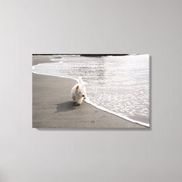Beachcombing Westie Canvas Afdrukken