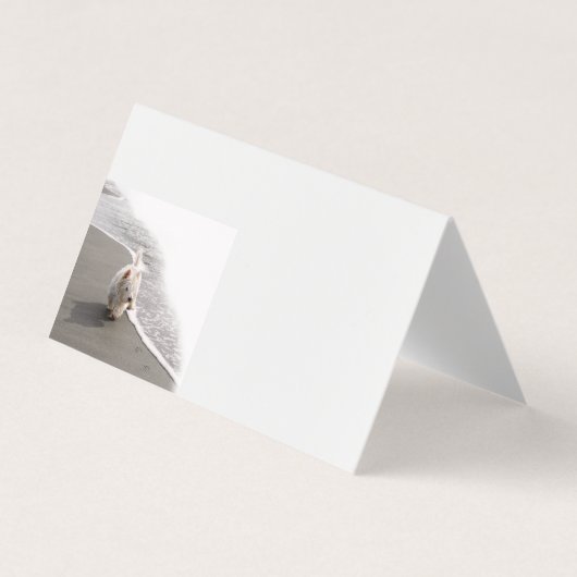 Beachcombing Westie Foto Visitekaartjes (Voorkant)