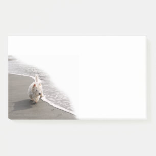Beachcombing Westie Photo 10x6 Post-it Notes