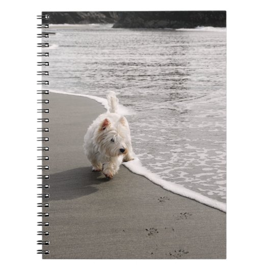 Beachcombing Westie Photo Carnet Spiral (Devant)