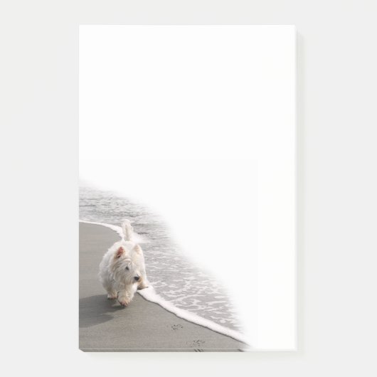 Beachcombing Westie Photo Post-It Notes (Devant)