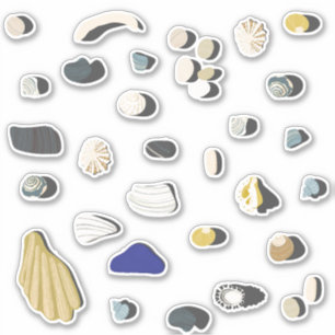 Beachcombingschalen en keistenen sticker