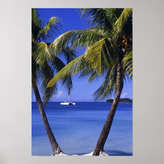 Beaches in Negril, Jamaica Poster (Voorkant)