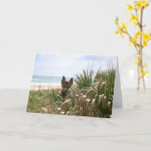 Beachgrass van de Kaart van de Duitse herder (Gele Bloem)