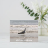 Beachingend Zee "Gull OBX Briefkaart" Briefkaart (Staand voorkant)