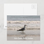 Beachingend Zee "Gull OBX Briefkaart" Briefkaart (Voorkant / Achterkant)