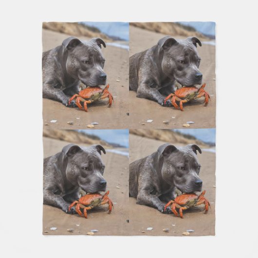 Beachside Pals: een Staffy en zijn Crab Companion Fleece Deken (Voorkant)