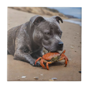 Beachside Pals: een Staffy en zijn Crab Companion Tegeltje
