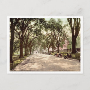 Beacon Street Mall Boston c1899 Vintage Inspiratie Briefkaart