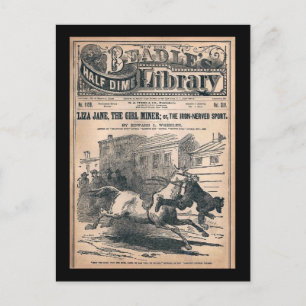 Beadles Half Dime Library No. 1120 1901 Briefkaart