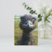 Beady Eyes EMU Briefkaart (Staand voorkant)