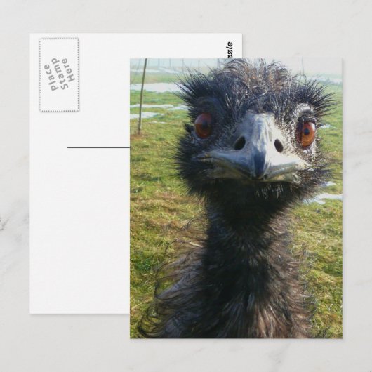 Beady Eyes EMU Briefkaart (Voorkant / Achterkant)
