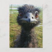 Beady Eyes EMU Briefkaart (Voorkant)