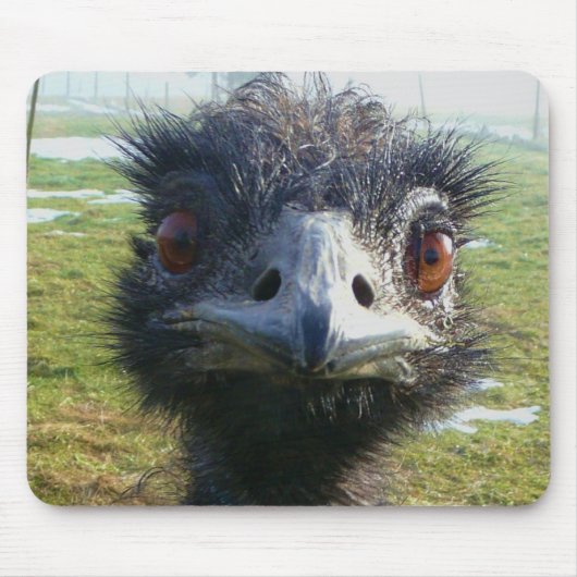 Beady Eyes EMU Muismat (Voorkant)