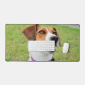 Beagle (Clavier et souris)
