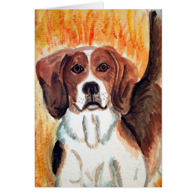 Beagle (Devant)