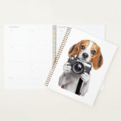 Beagle (Devant avec enveloppe)