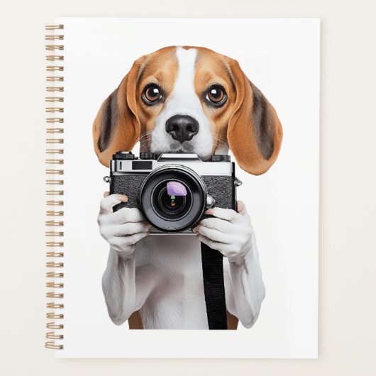 Beagle (Devant)