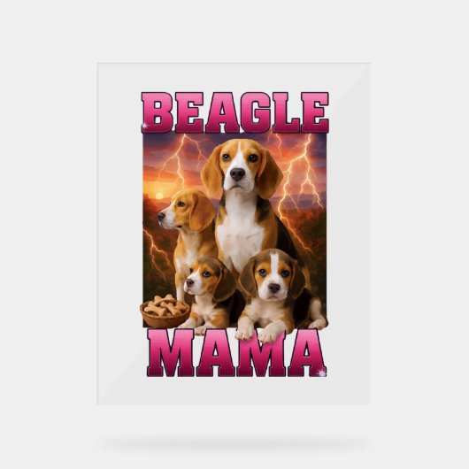 Beagle (Recto)