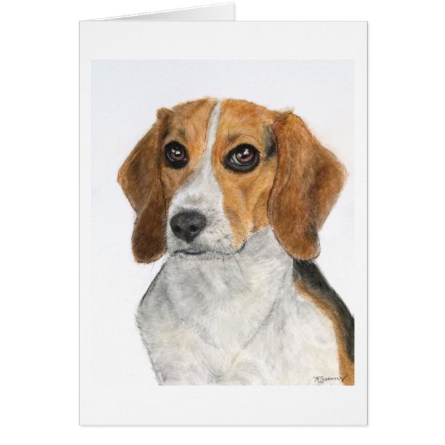 Beagle (Devant)