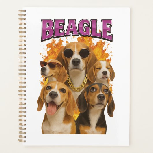 Beagle          (Devant)