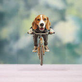 Beagle   (Neutre)