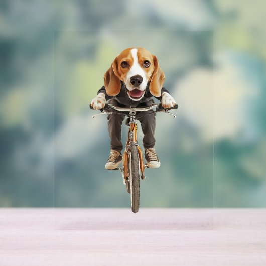 Beagle (Neutre)