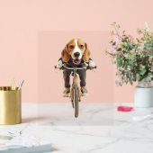 Beagle   (Mariage)