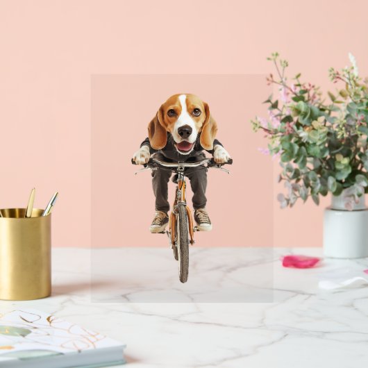Beagle (Mariage)